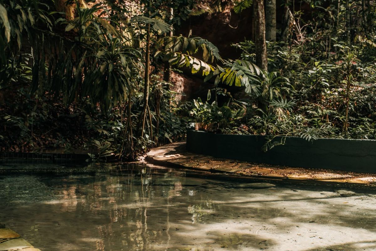 Lâmina d'água natural cercada de mata fechada, com o reflexo das árvores na superfície