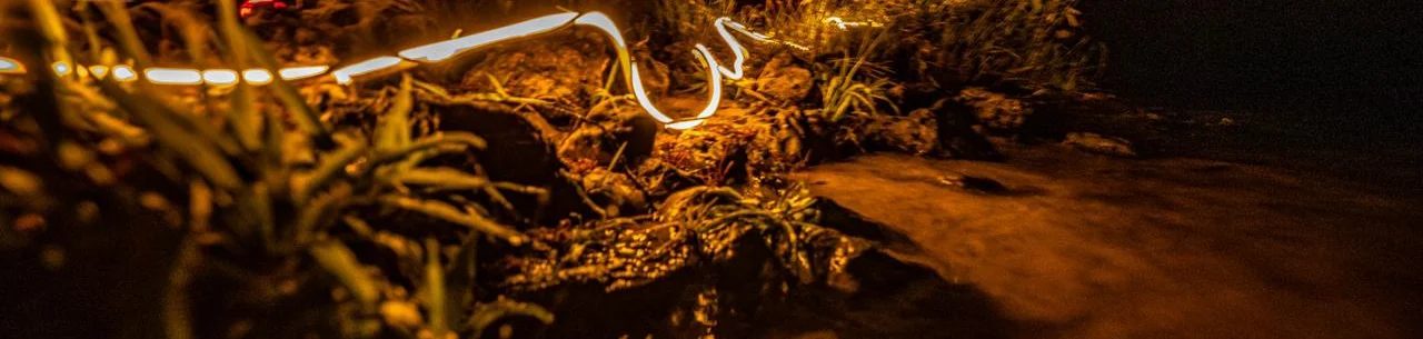Filete de neon branco atravessando a vegetação à beira d’água à noite, da série Amazônia por um Fio